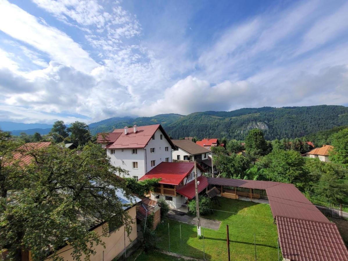 Vila Denisa Бран Екстер'єр фото